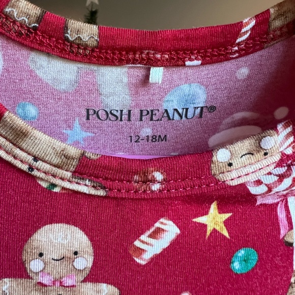 Posh Peanut Candy Cane Lane Gingerbread Twirl Onesie Dress Size 12-18 Months - Picture 2 of 6